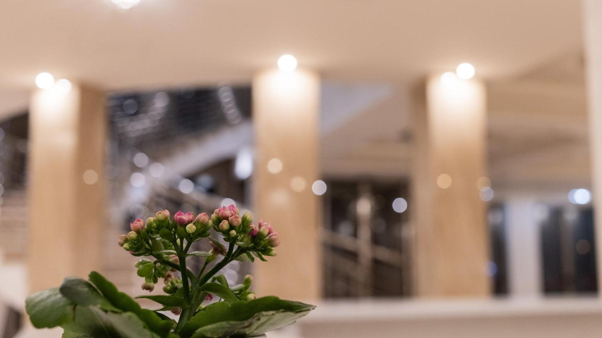 Hotel Donna Crescenza Locorotondo Eksteriør billede